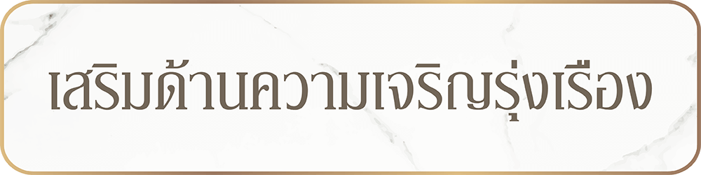 ตัวอย่างภาพ