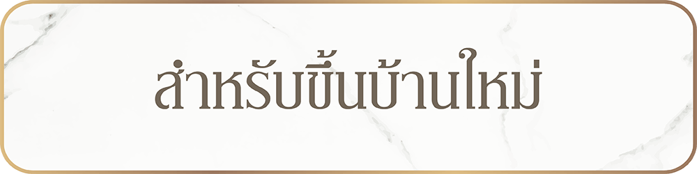 ตัวอย่างภาพ