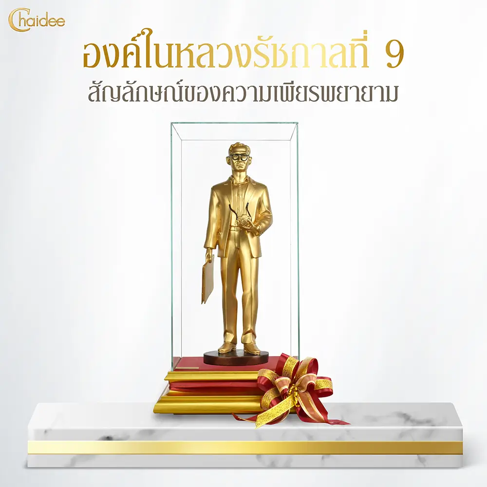 ตัวอย่างภาพ
